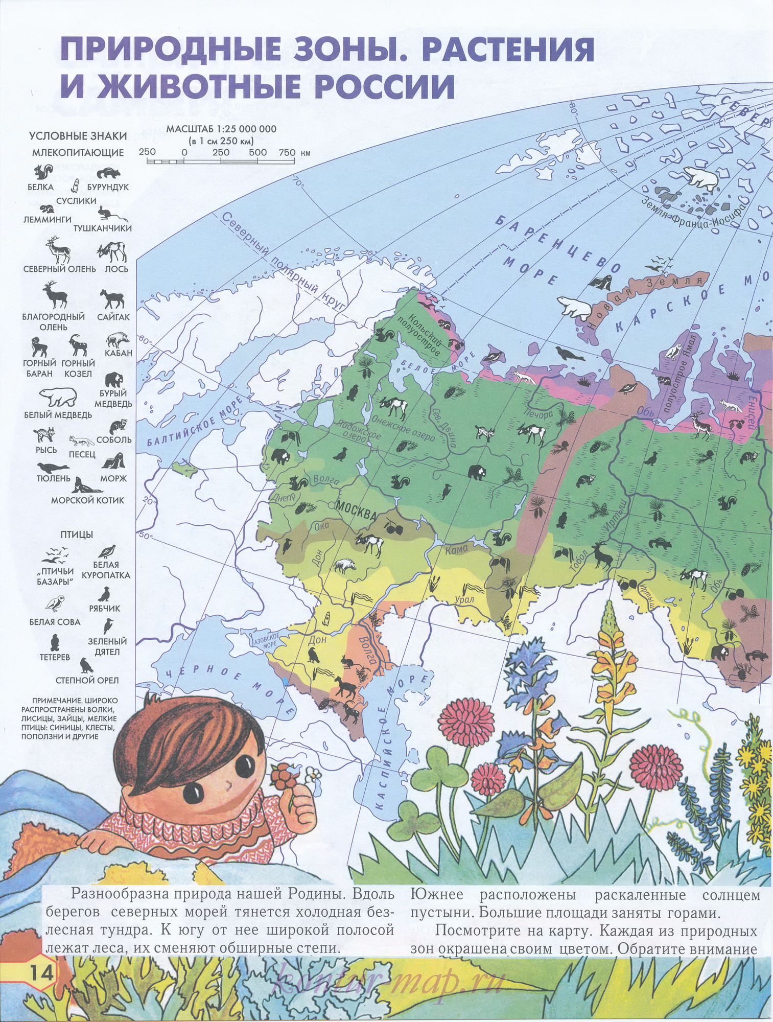 Карта природных зон и растительности